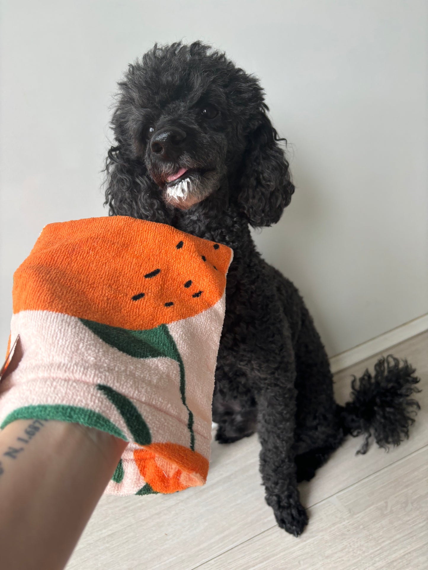 The Stinky Mitt | Main Squeeze