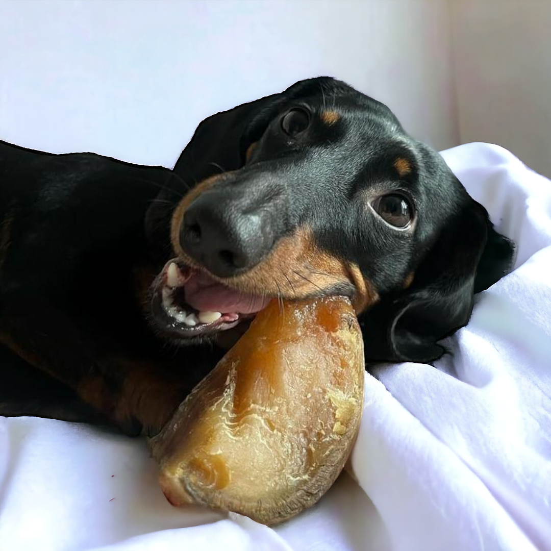 Cow Hoof