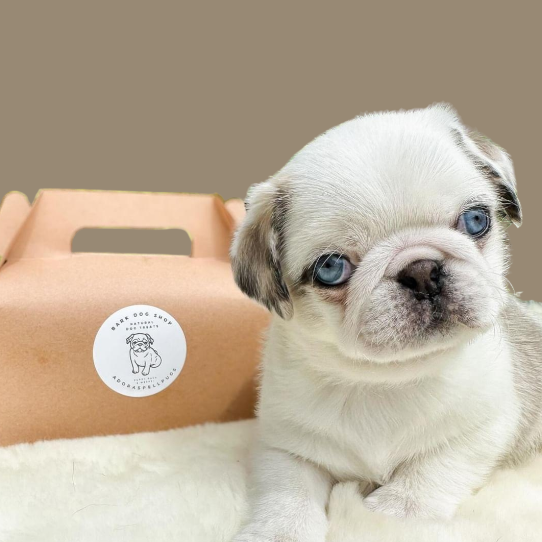 Puppy Box | Welcome Pack