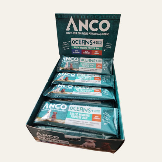 Anco Oceans+ Protein Bar with Pumpkin