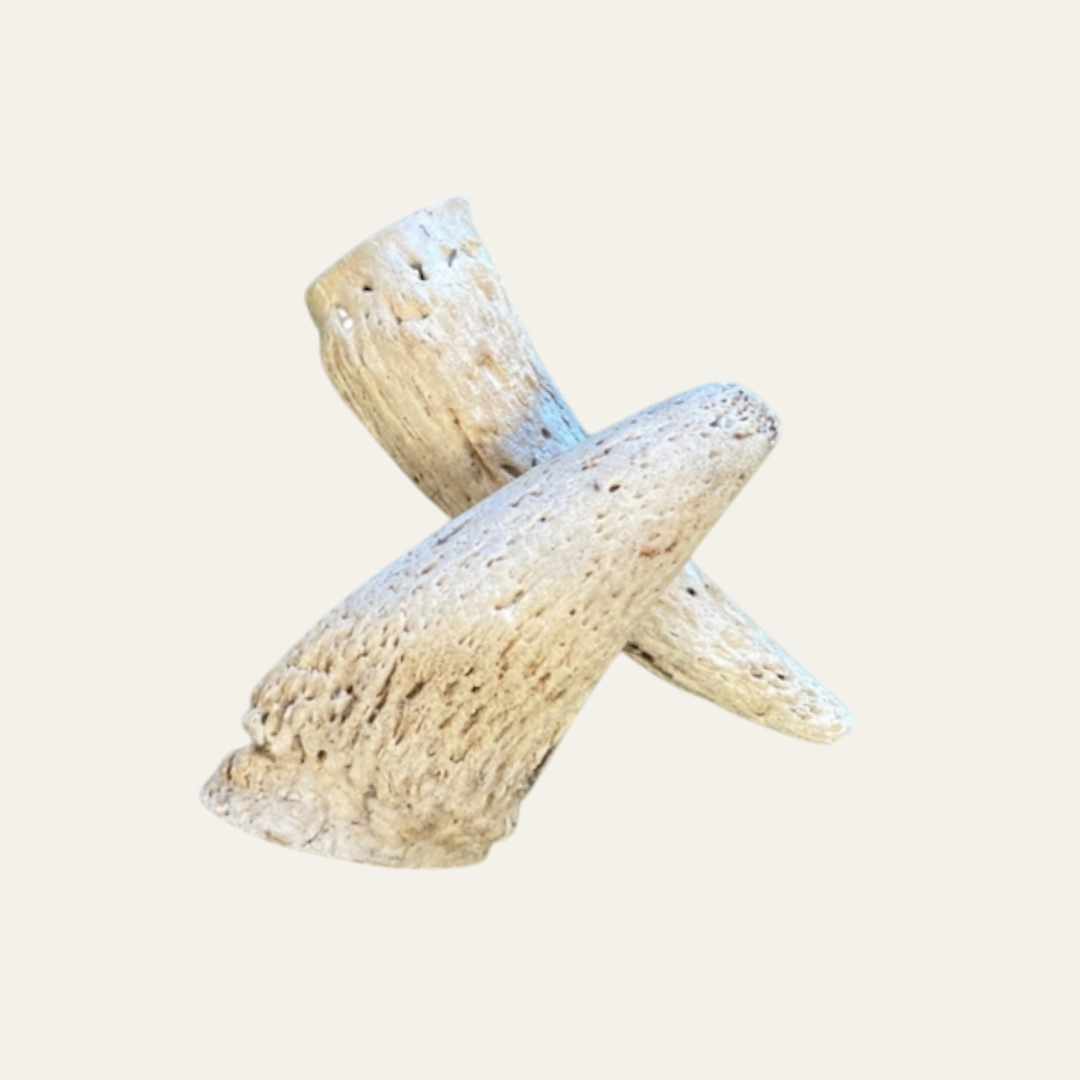 Anco Naturals Cow Horn Marrow