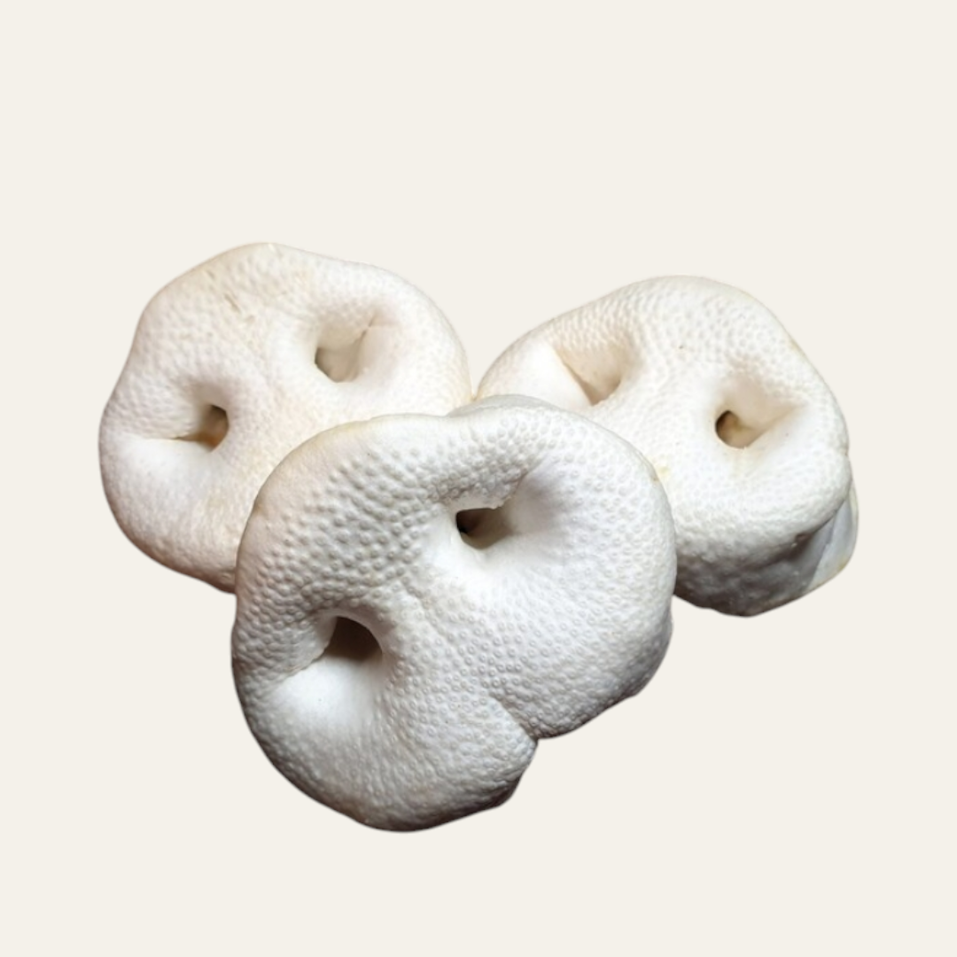 Puffed Pig Snout