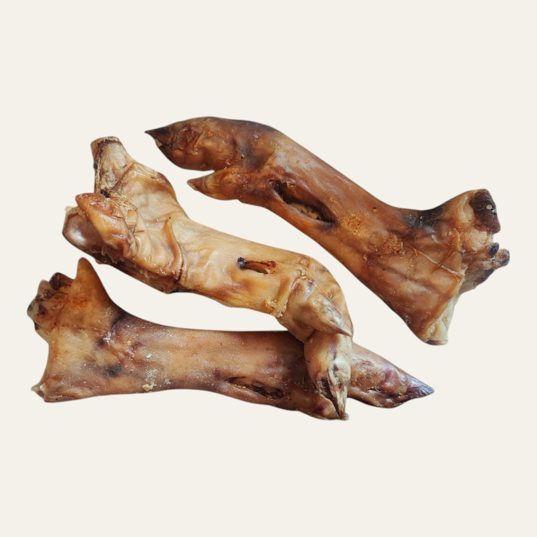 Pig Leg/ Trotter
