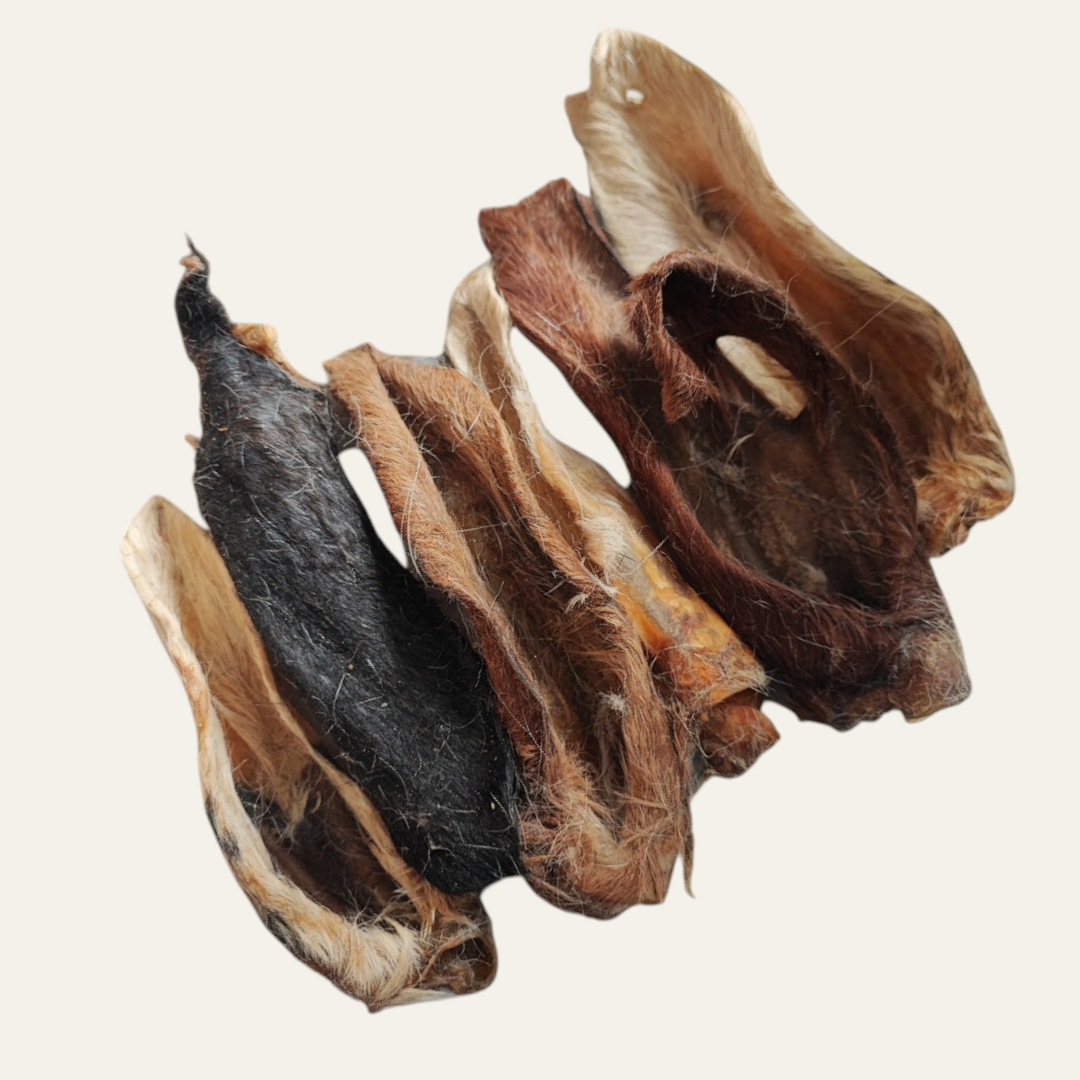 Lamb Ears with Fur