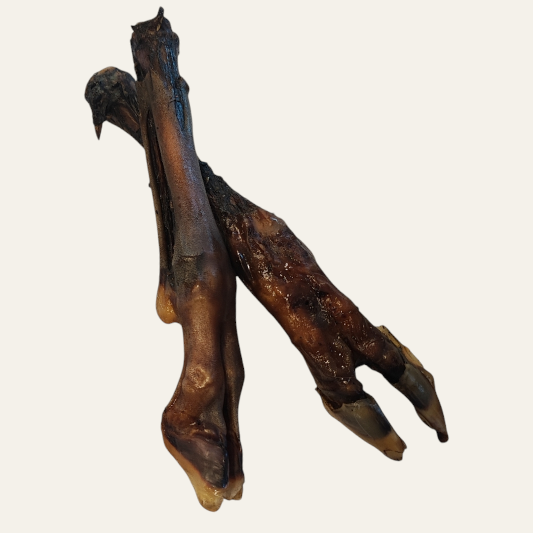Hairless Lamb Leg