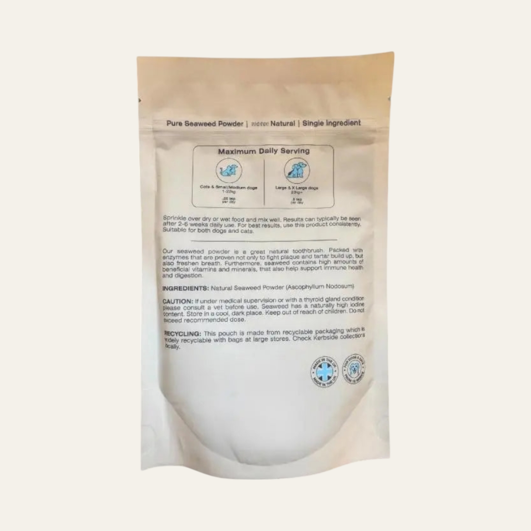 Hackney Dog House Plaque Powder