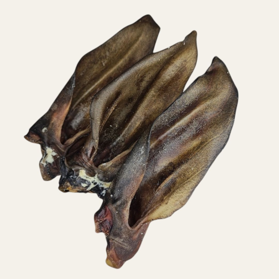 Hairless Roe Ear