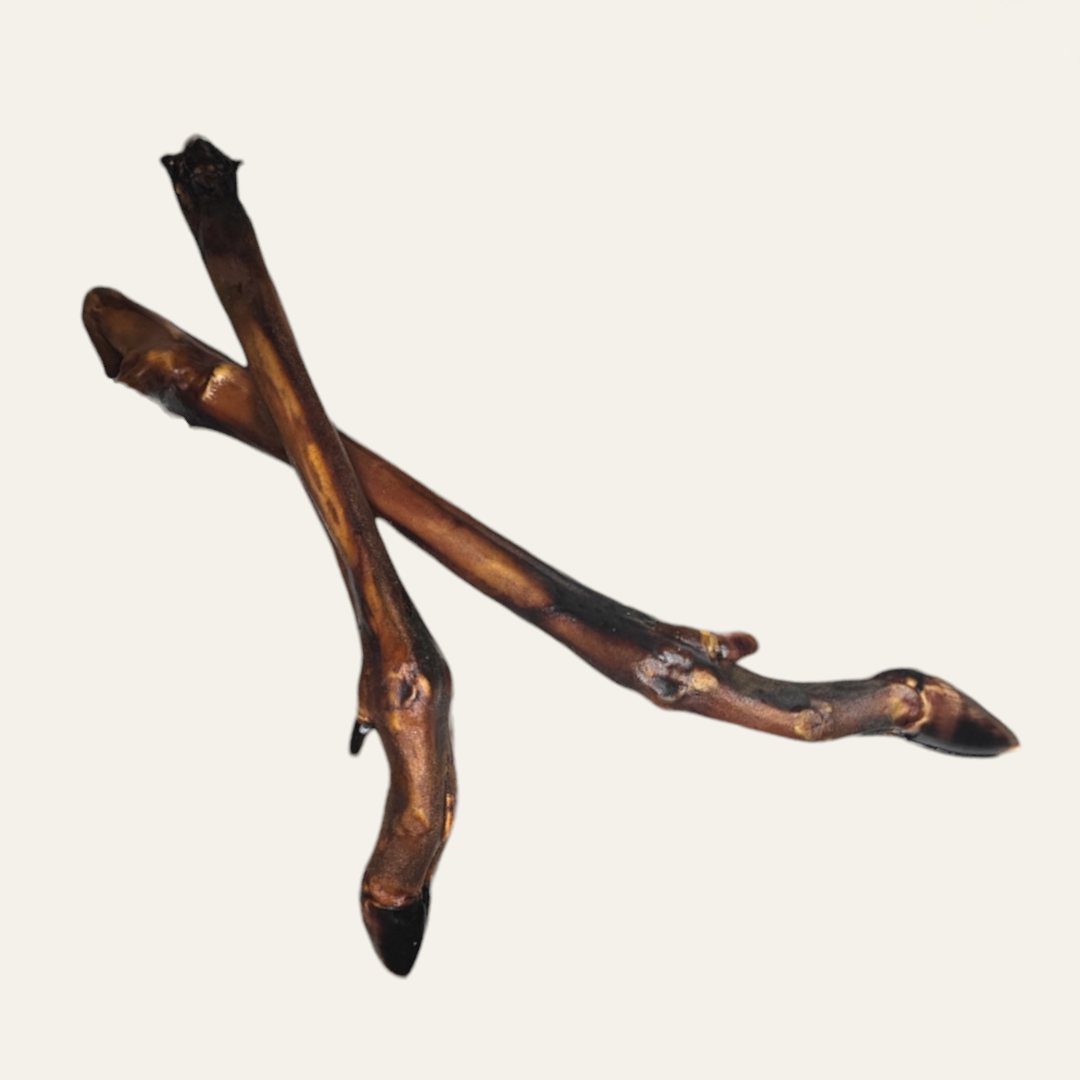 Hairless Deer Leg