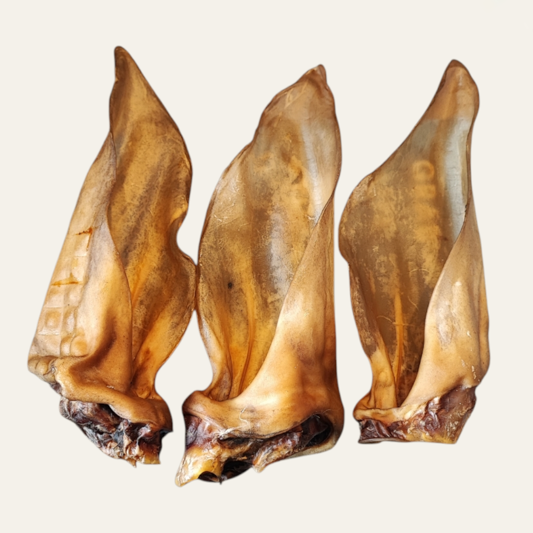 Deer Ear