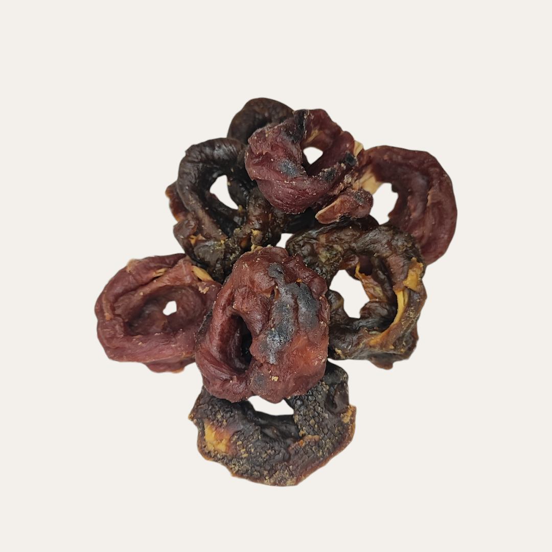 Squid & Duck Rings