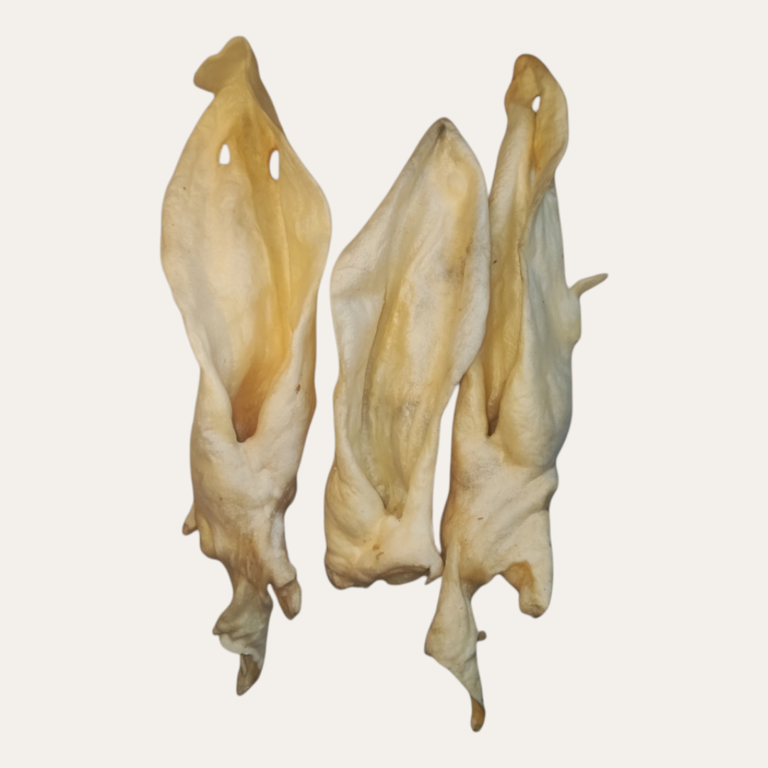 Goat Ears | Medium/Large