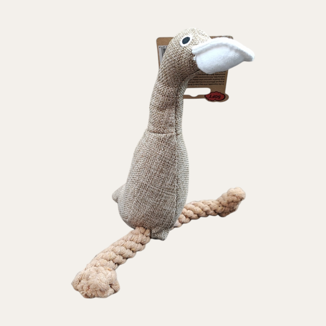 Good Boy Pawsley Duck