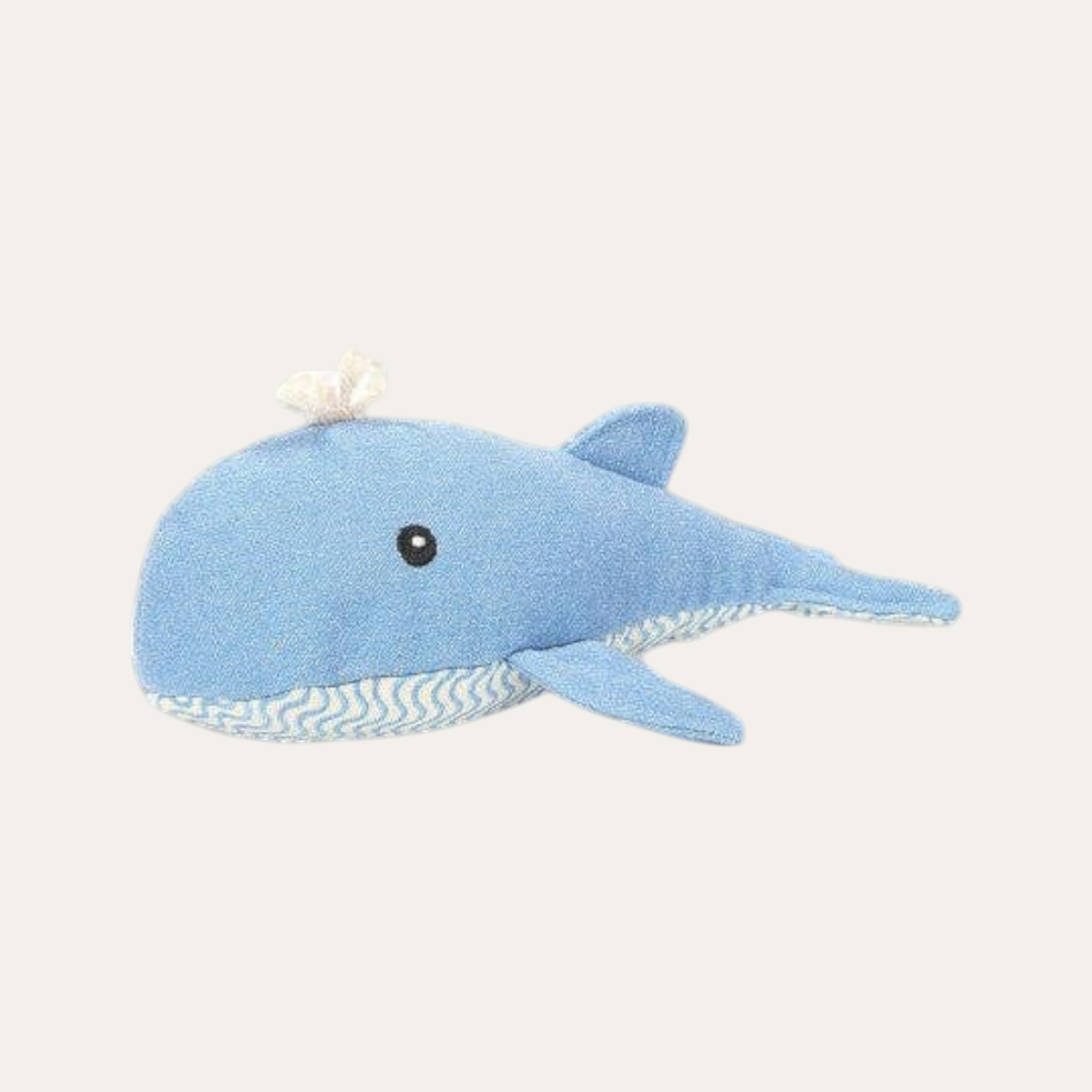 A Whale Called Wanda