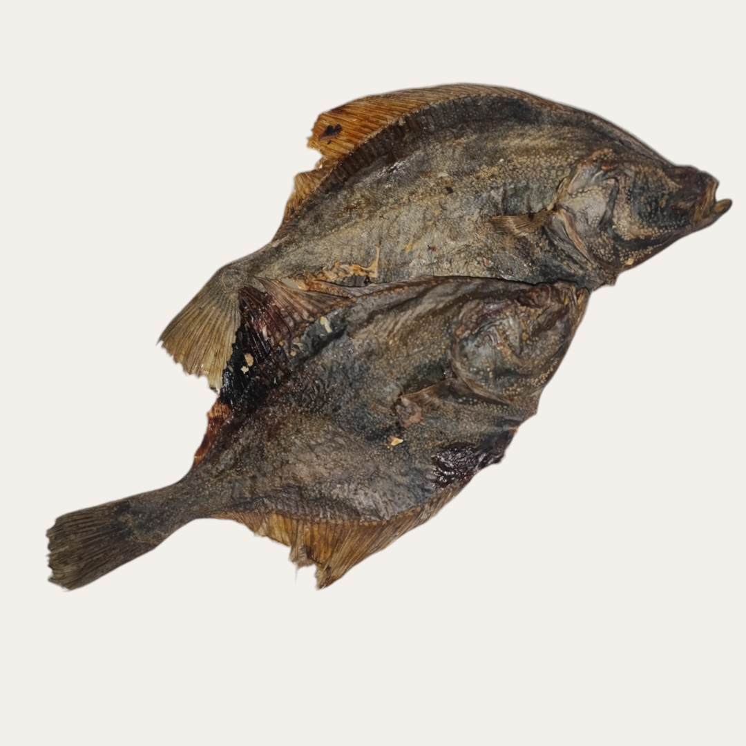 Flounder Fish