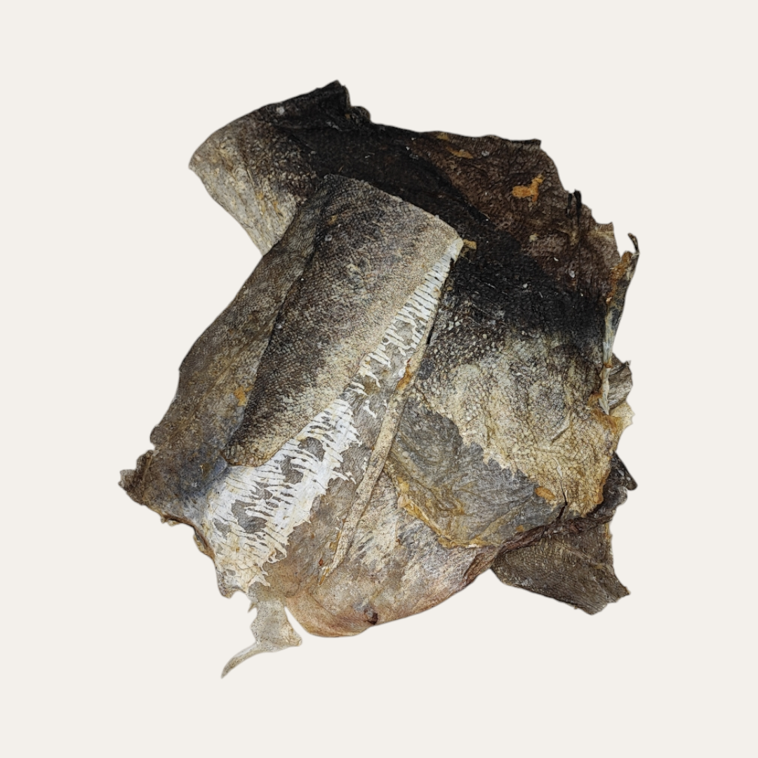 Fish Skin Flats