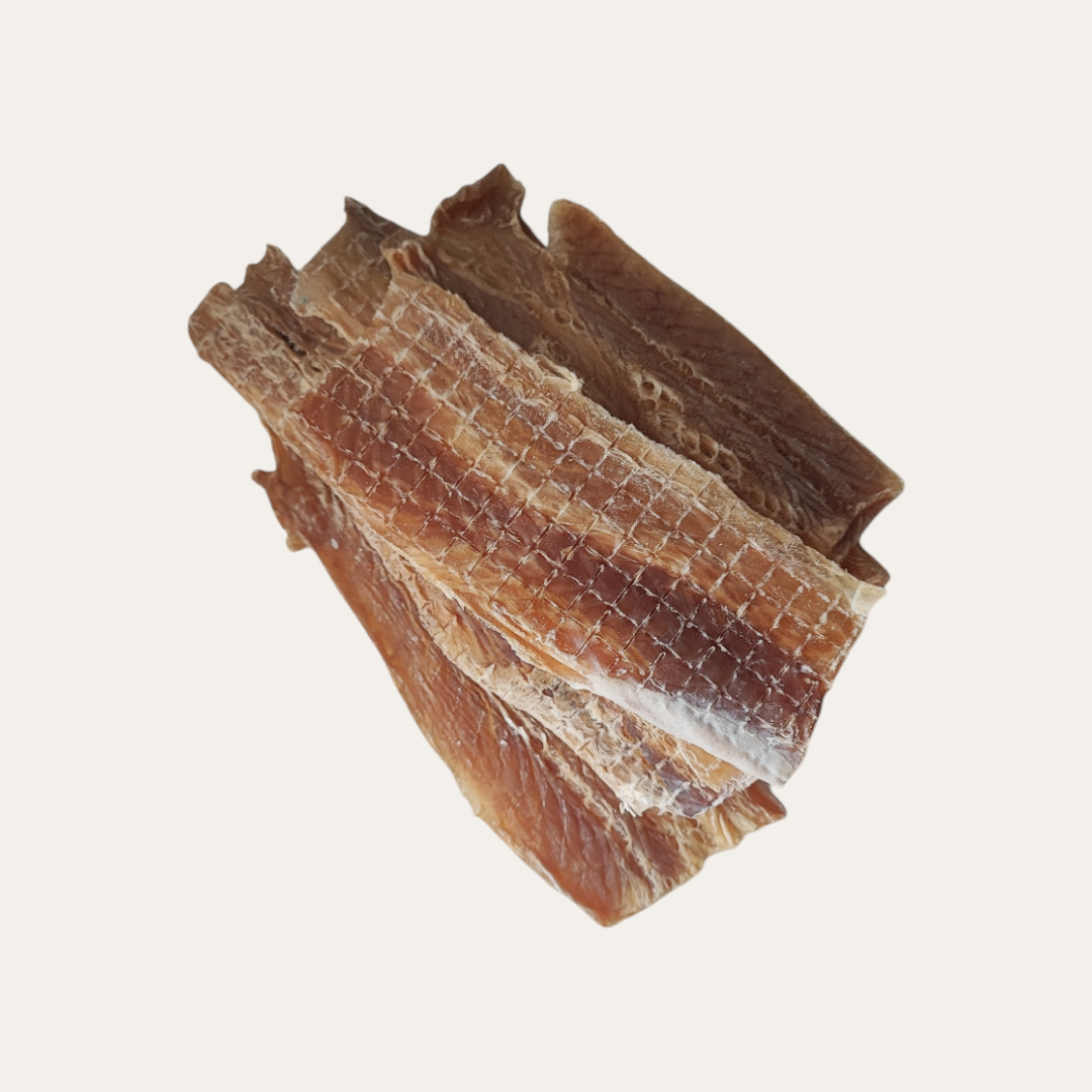 Fish Jerky