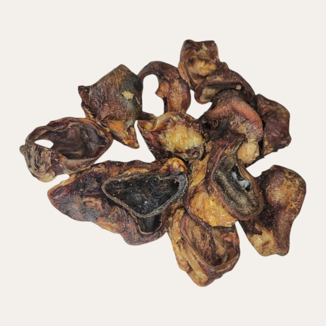 Beef Inner Ear