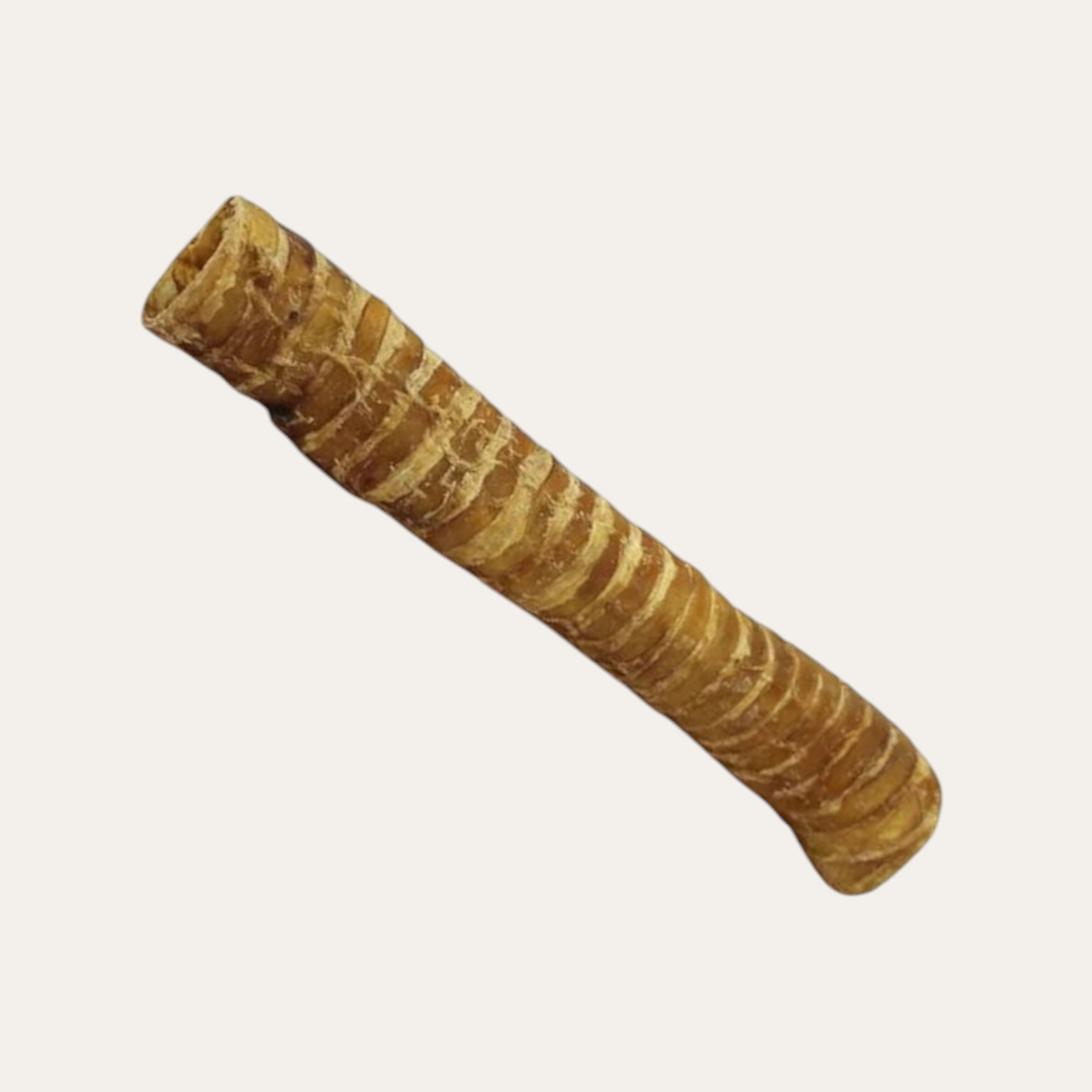 Beef Trachea 40cm