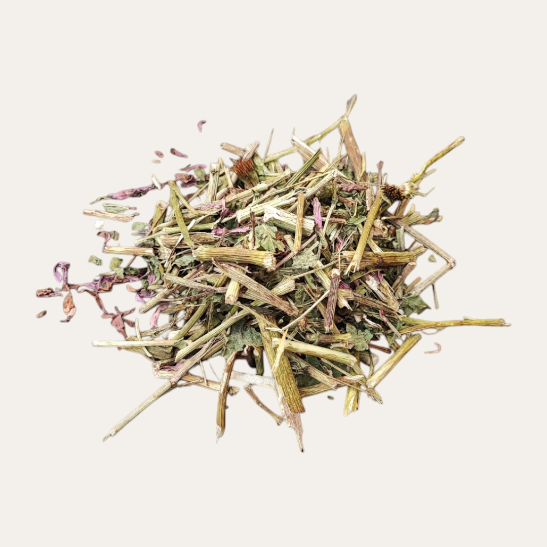 Echinacea Stems & Flowers