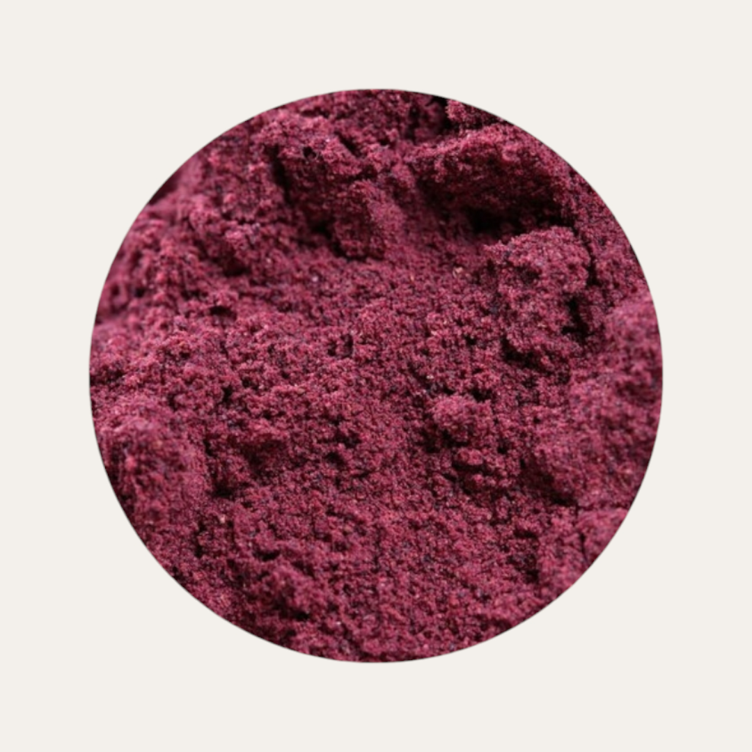 Blueberry Powder | 25g