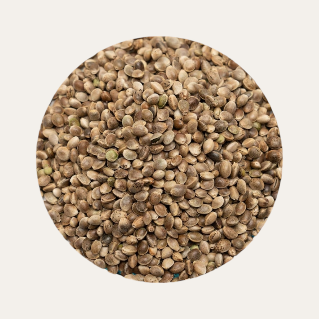 Organic Hemp Seeds