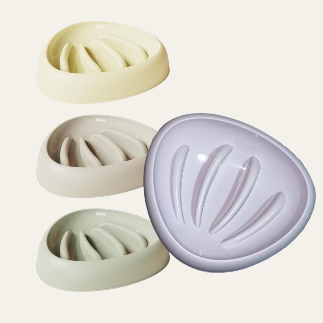 Clam Shell | Slow Feeder, 4 Colours