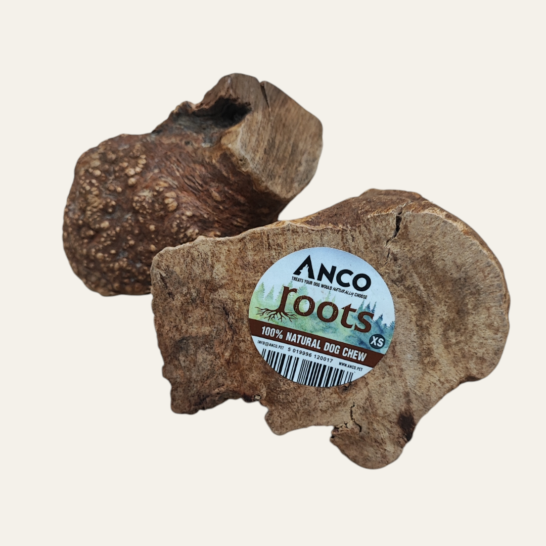 Anco Root | Extra Small