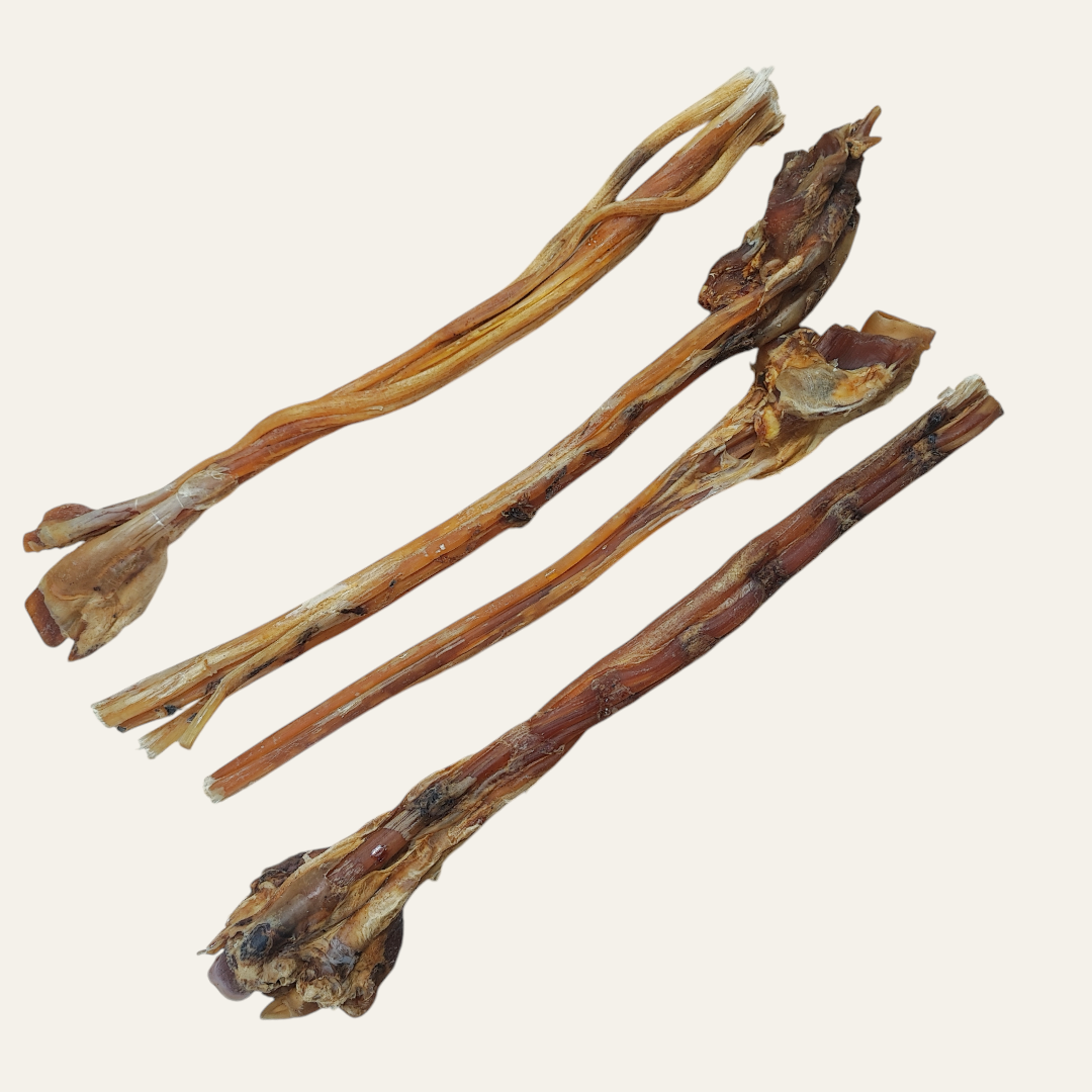 Large Ostrich Tendon