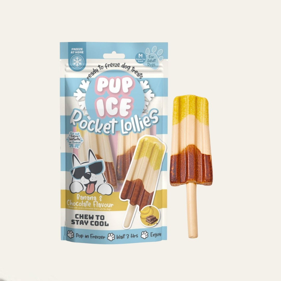 Pup Ice Chocolate & Banana Rocket Lollies Pack | 2 Pack