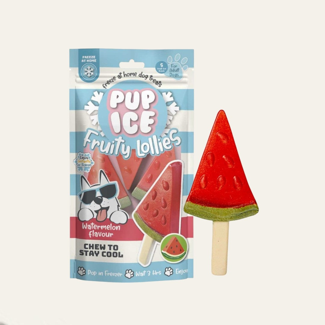 Pup Ice Watermelon Fruity Lollies | 3 Pack