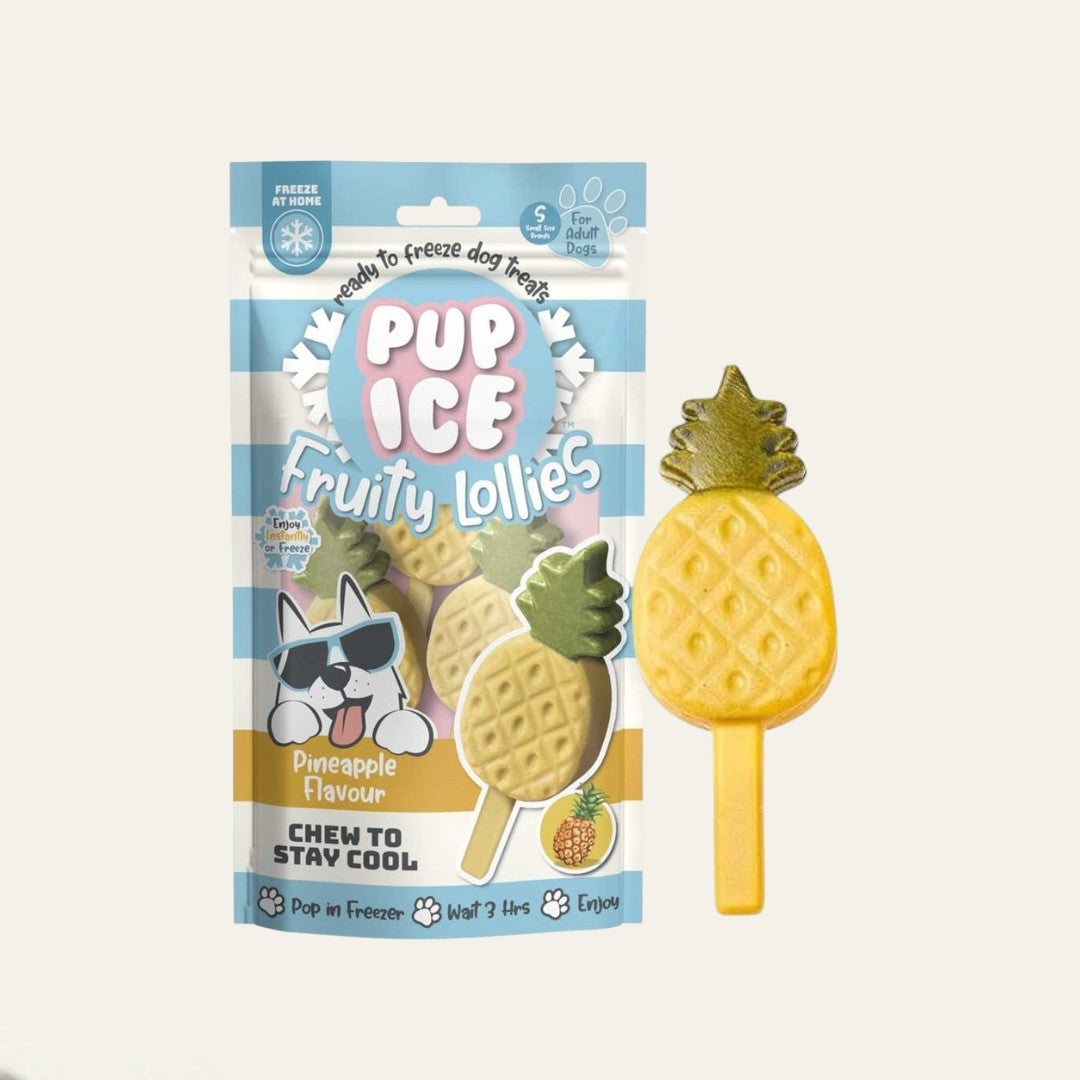 Pup Ice Pineapple Fruity Lollies | 3 Pack