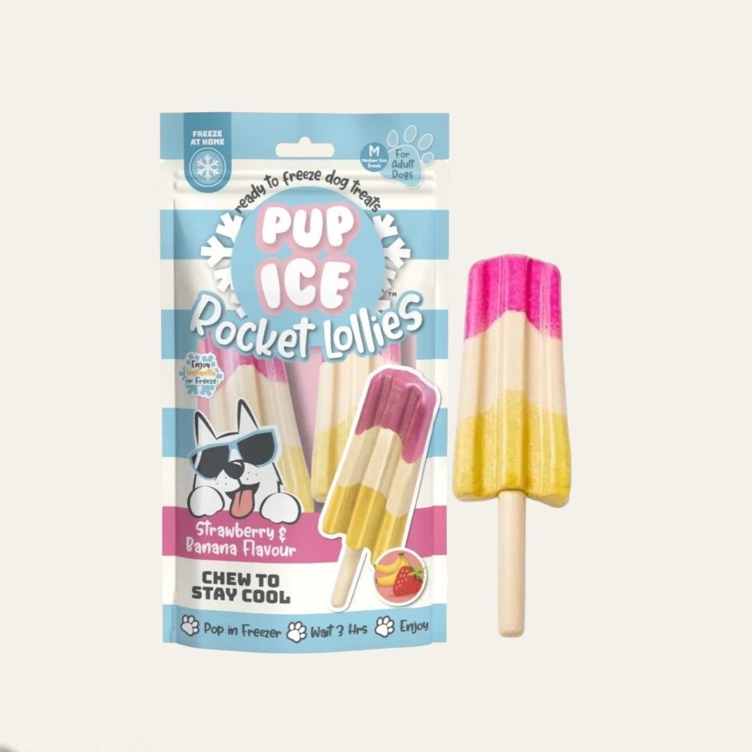 Pup Ice Strawberry & Banana Rocket Lollies Pack | 2 Pack
