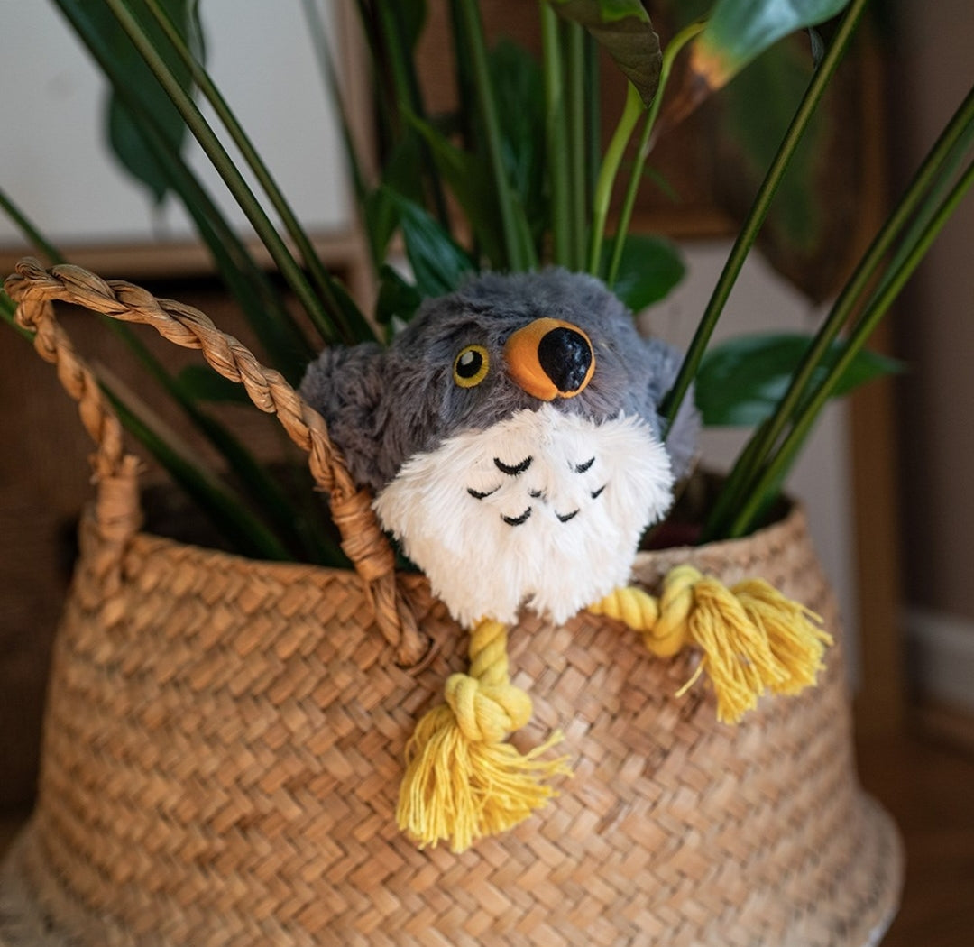 Great&Small Stay Wild Peregrine Falcon