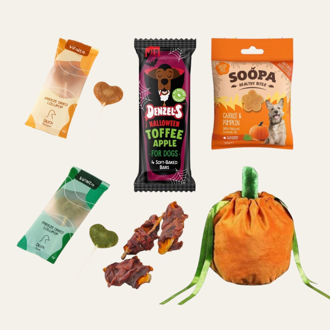 TENNER TUESDAY | Pumpkin Patch Pup Picks