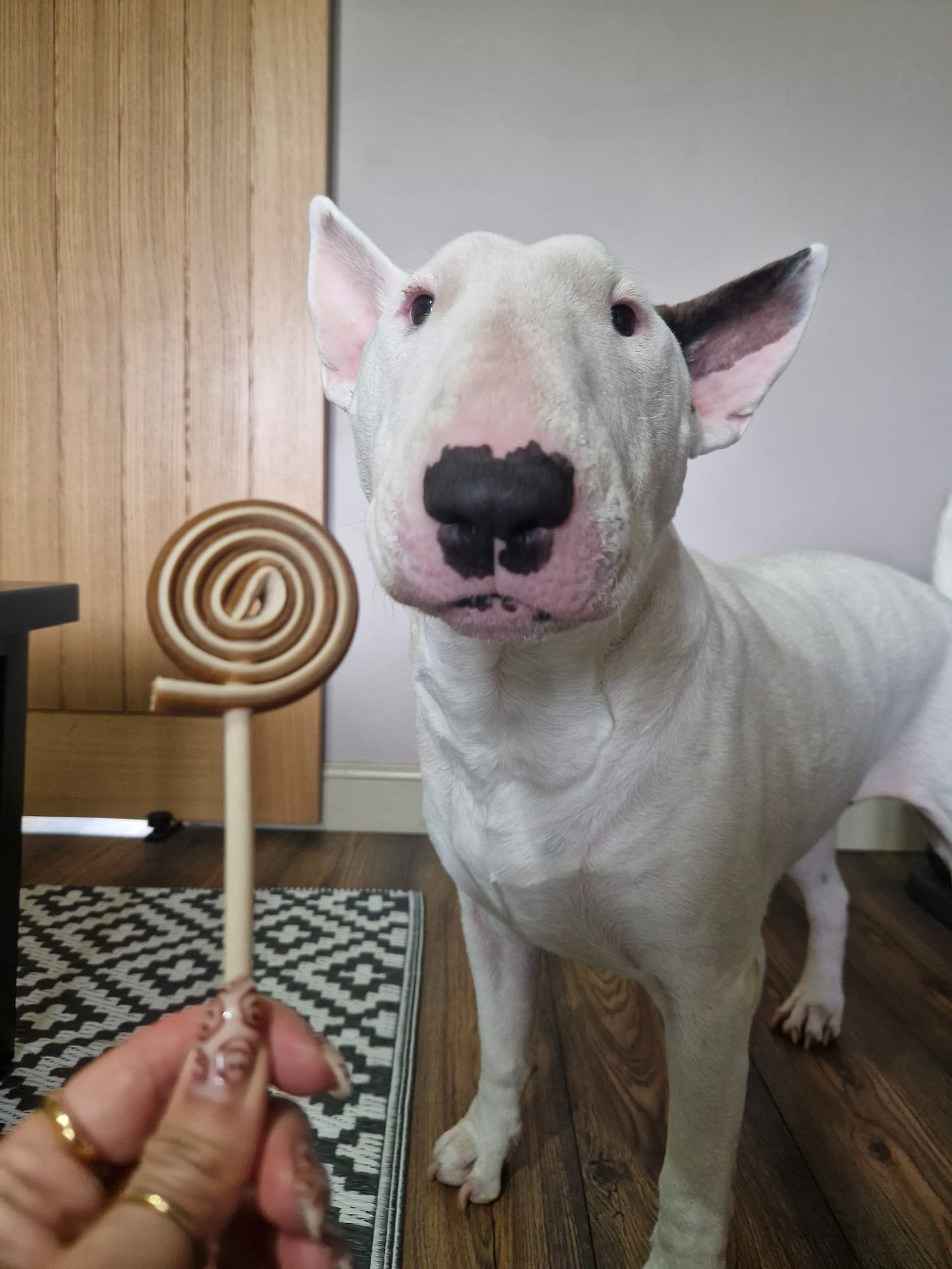 Veggie Lollipop