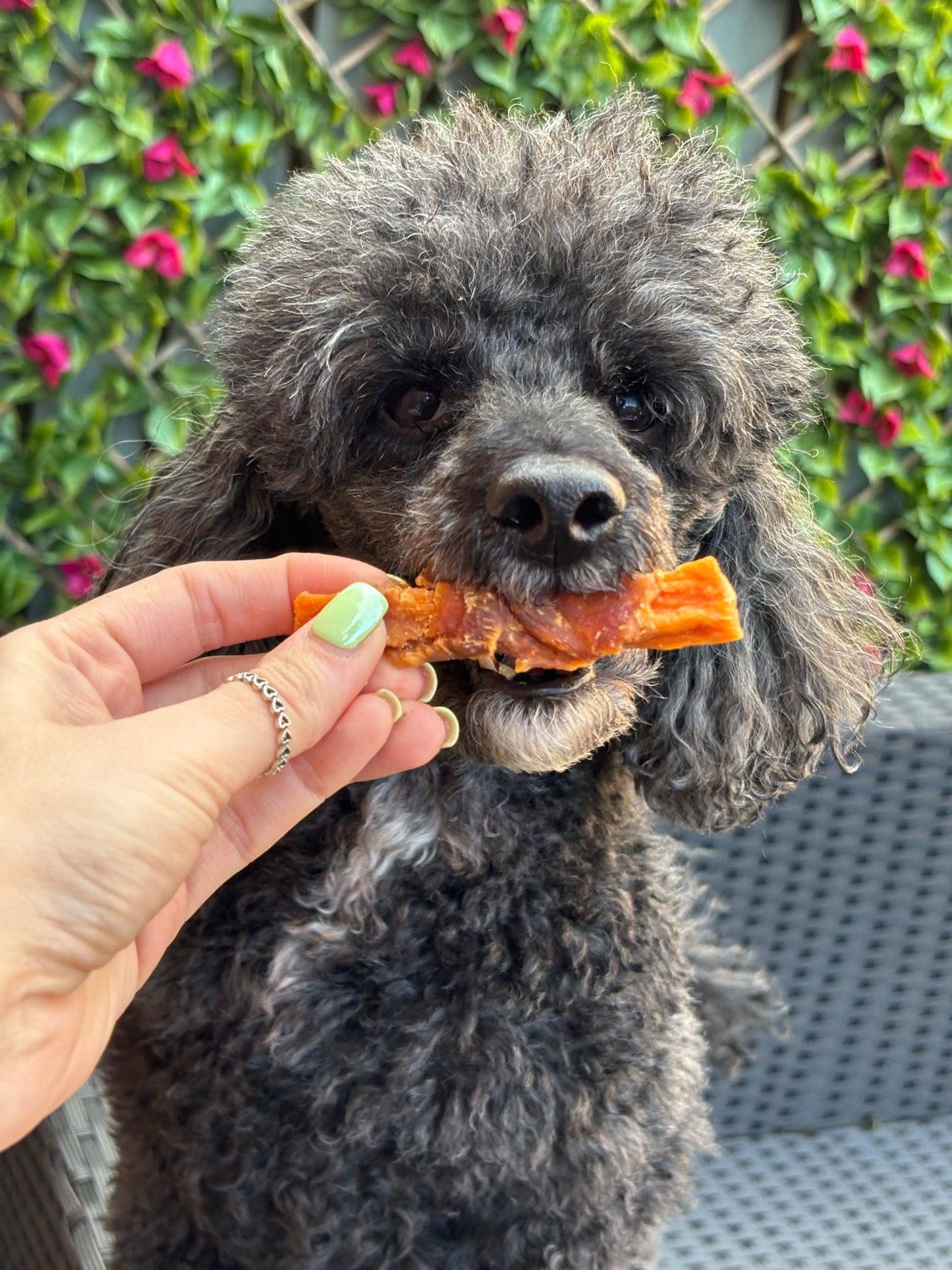 Chicken & Sweet Potato Wraps