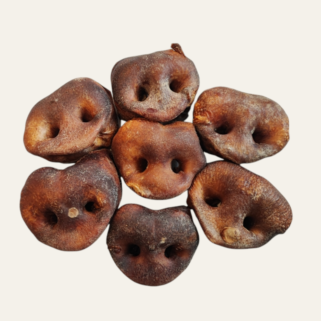 Pig Snout