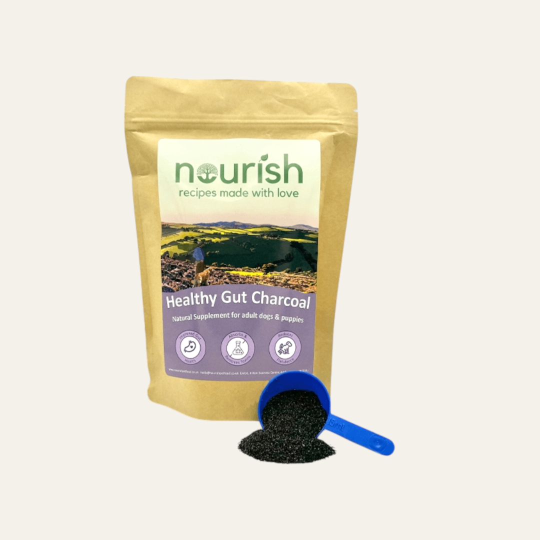 Nourish Healthy Gut Charcoal 300g