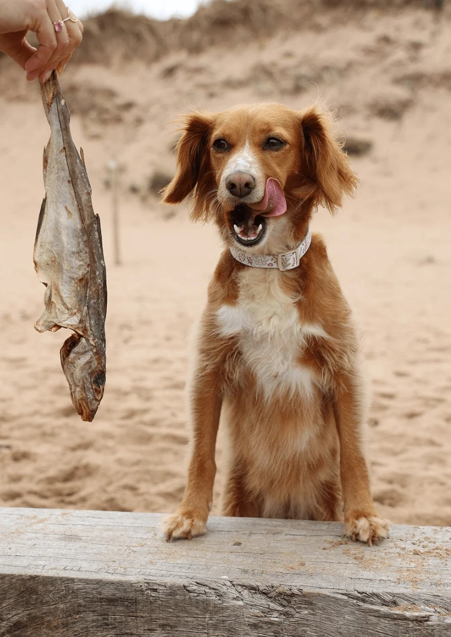 Whole Dried Haddock