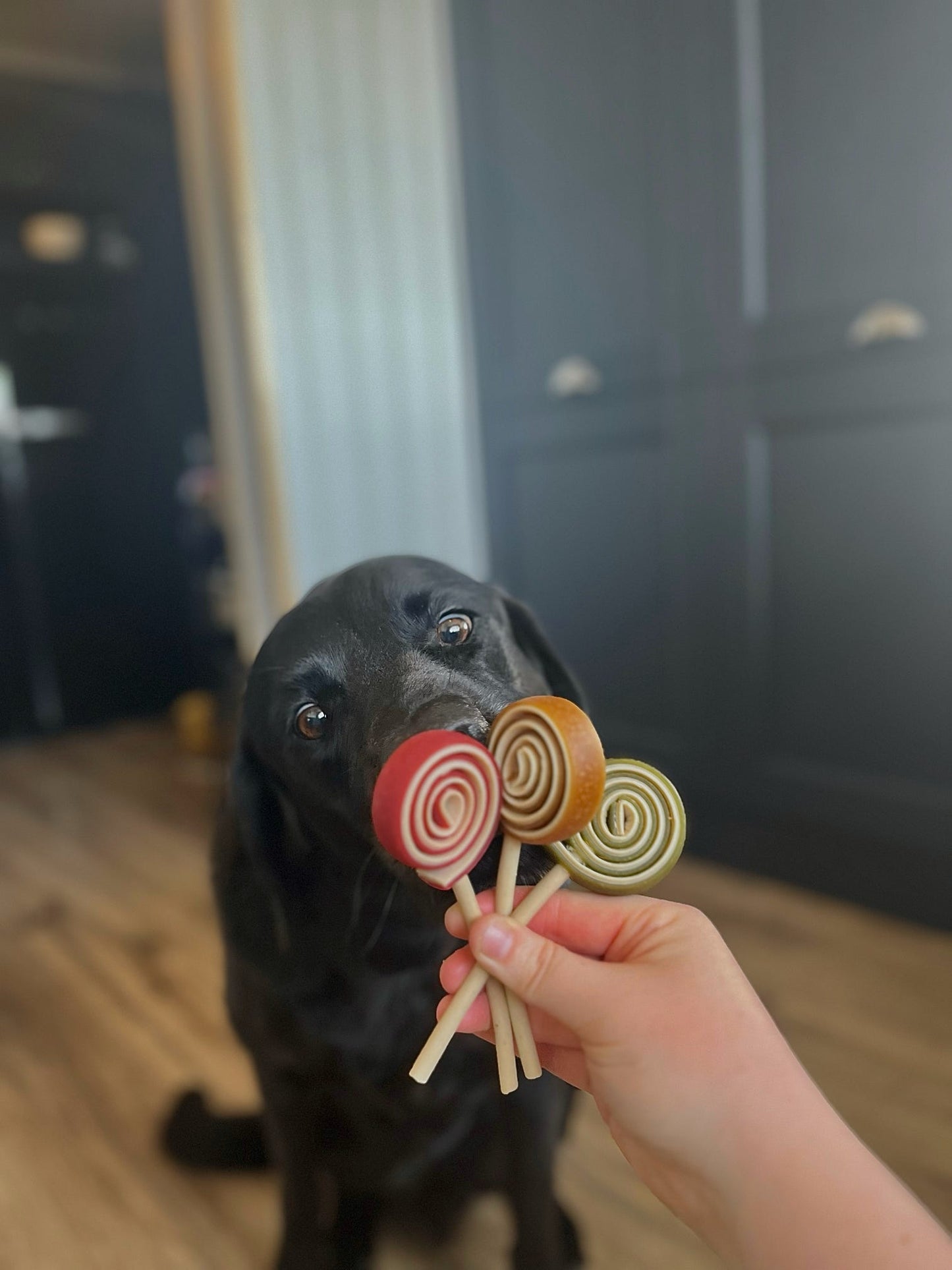 Veggie Lollipop