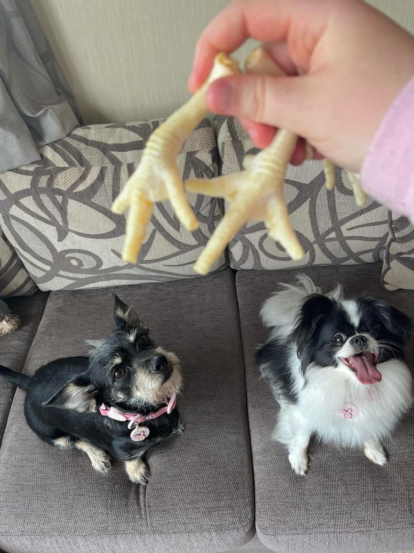 Puffed Chicken Feet