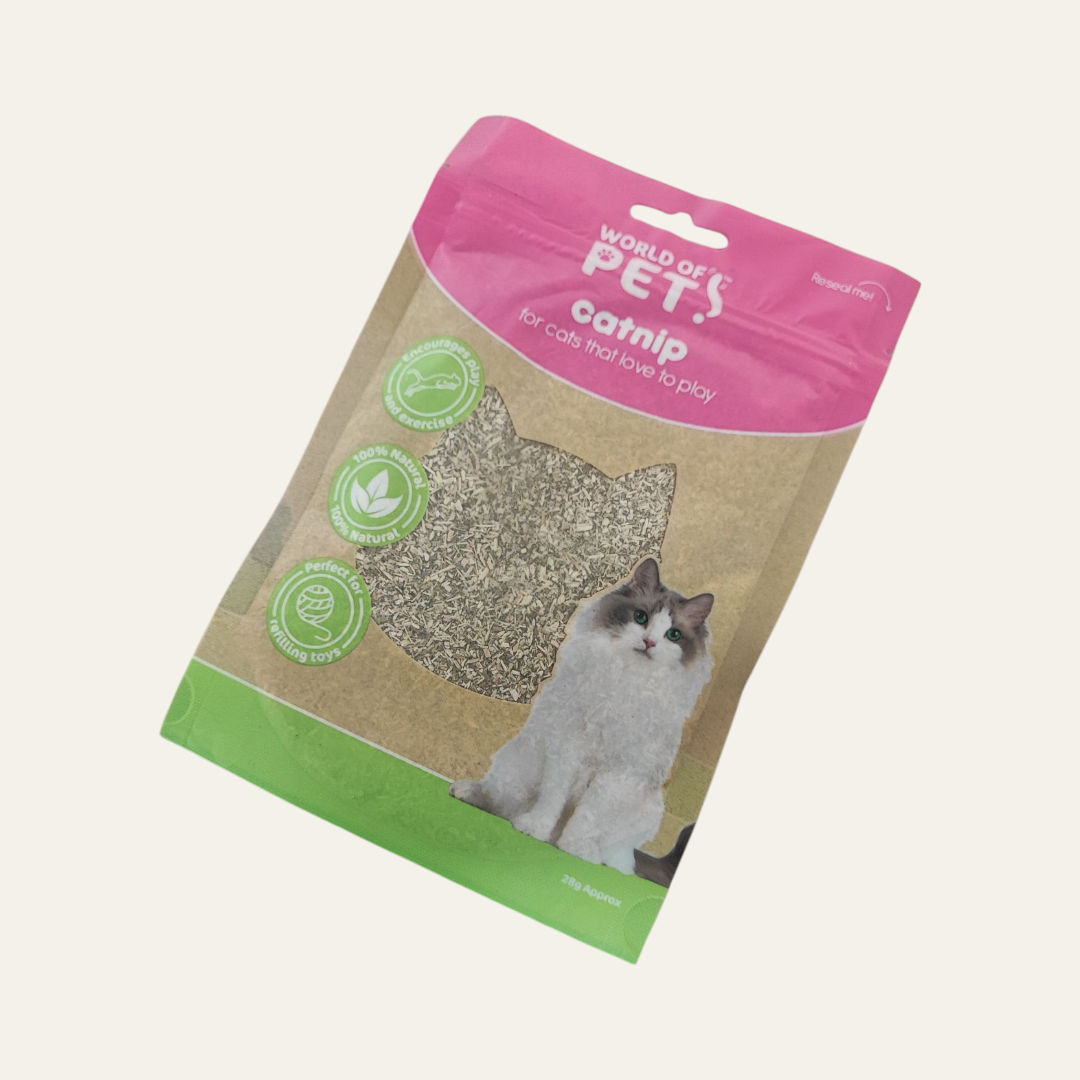 Catnip