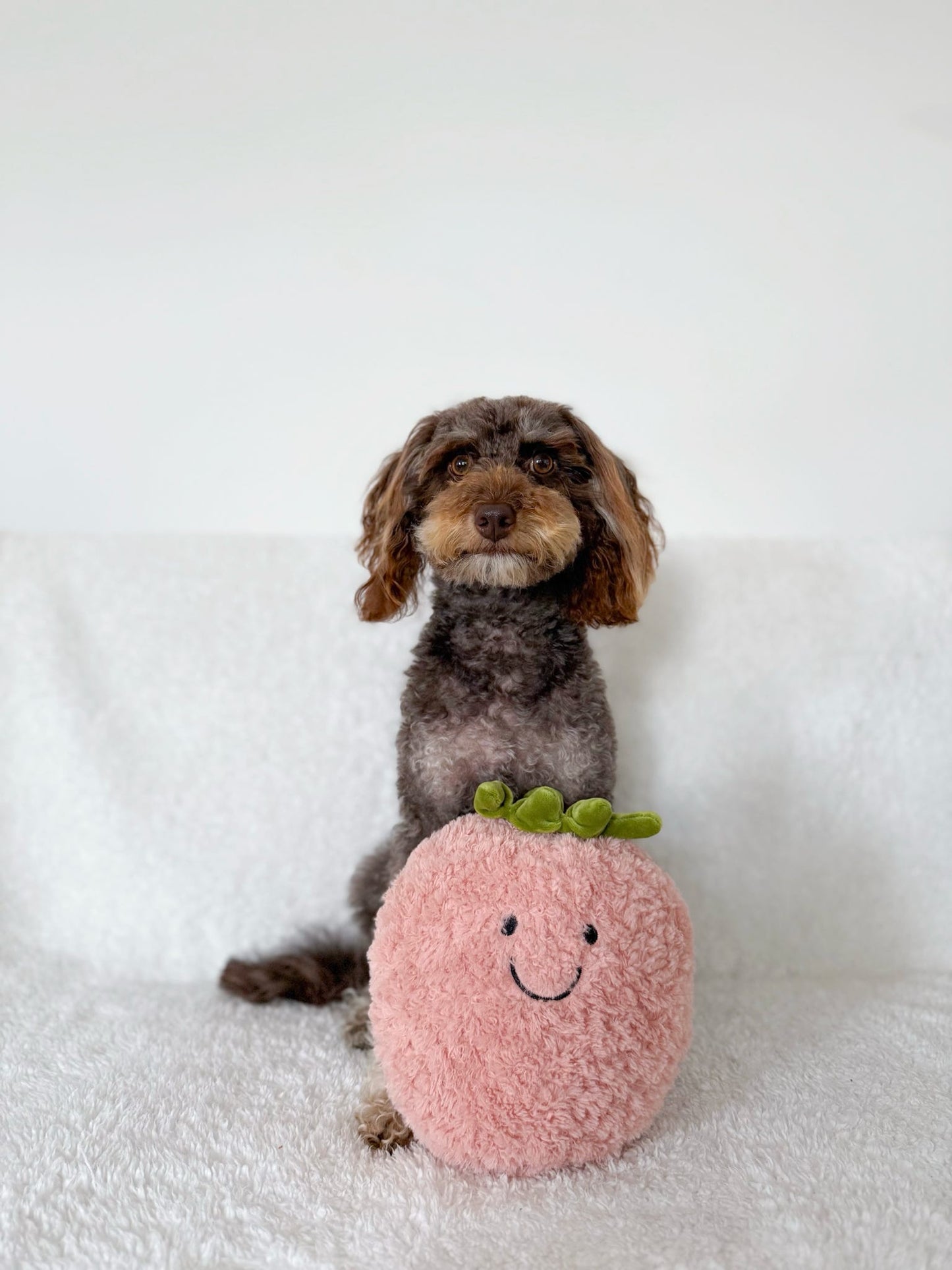 Sadie the Strawberry