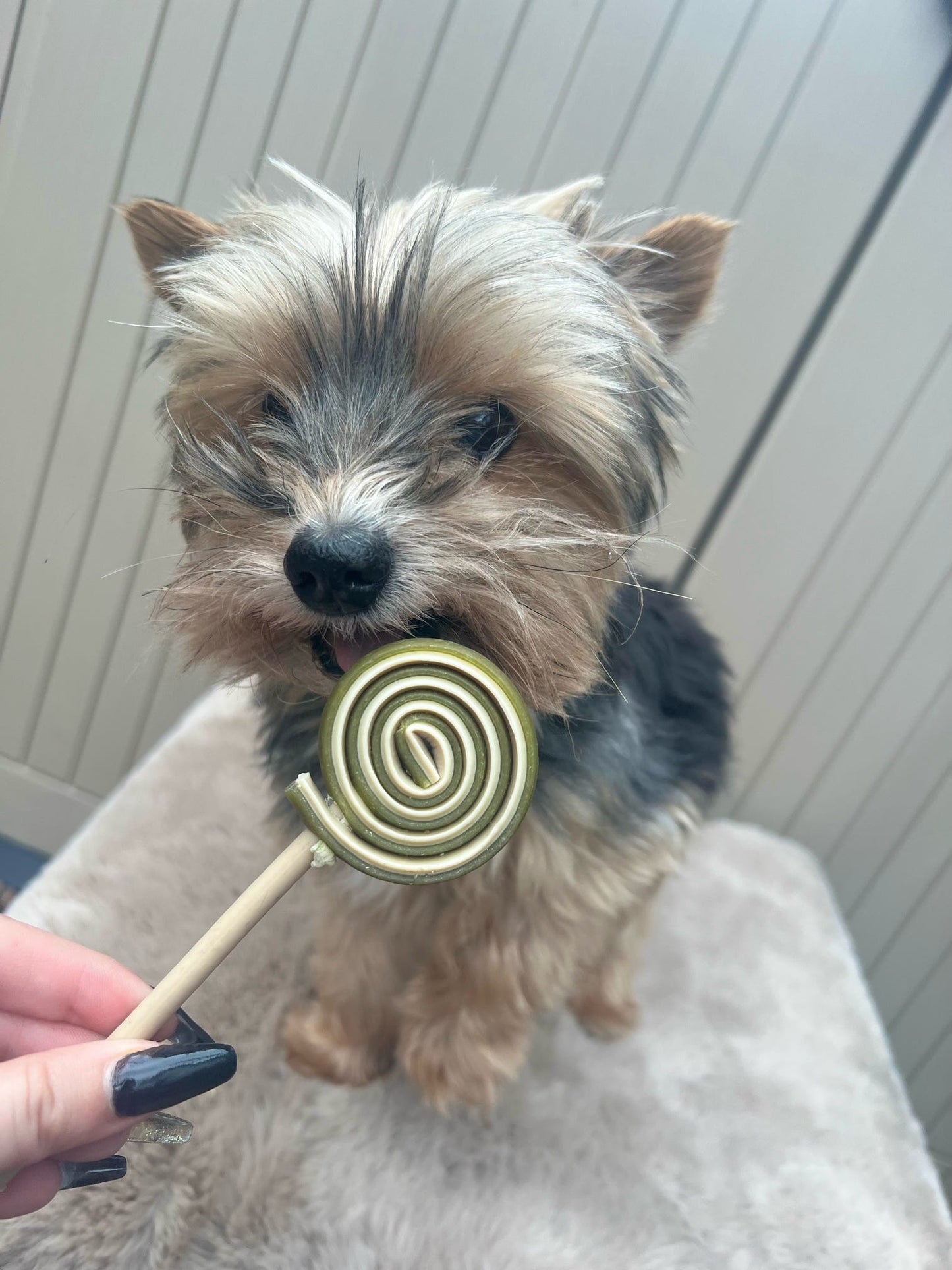 Veggie Lollipop