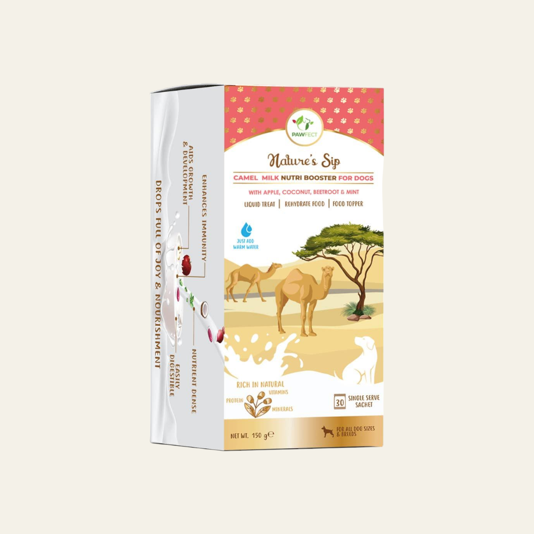 Pawfect Nature's Sip For Dogs: Camel's Milk with Apple, Coconut, Beetroot and Mint | SINGLE Sachet