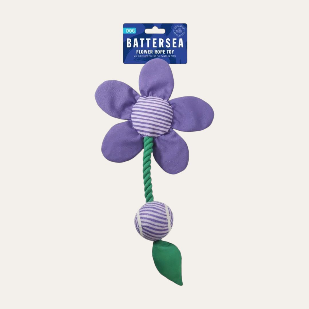 Battersea Flower Tug Toy