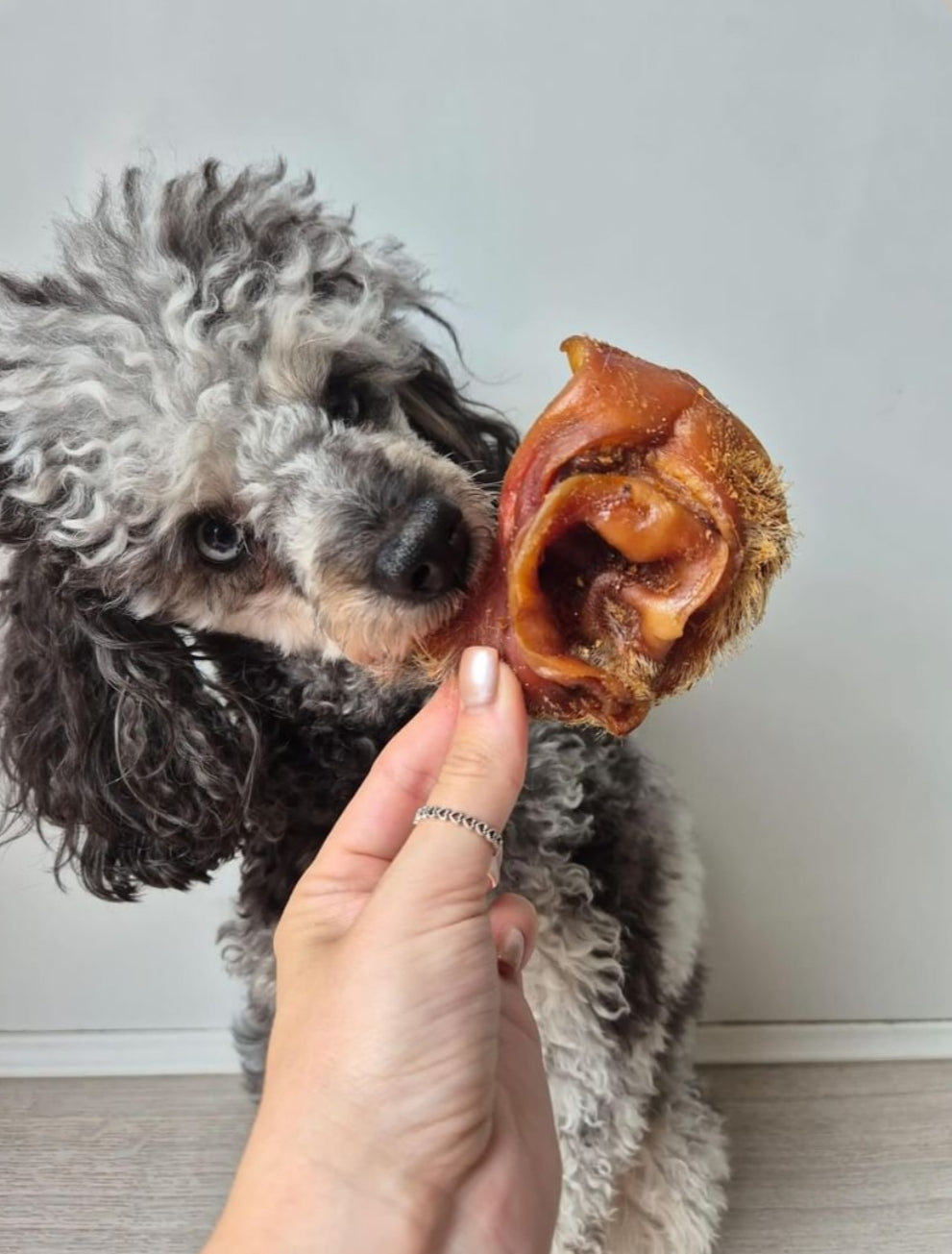 Pork Inner Ear