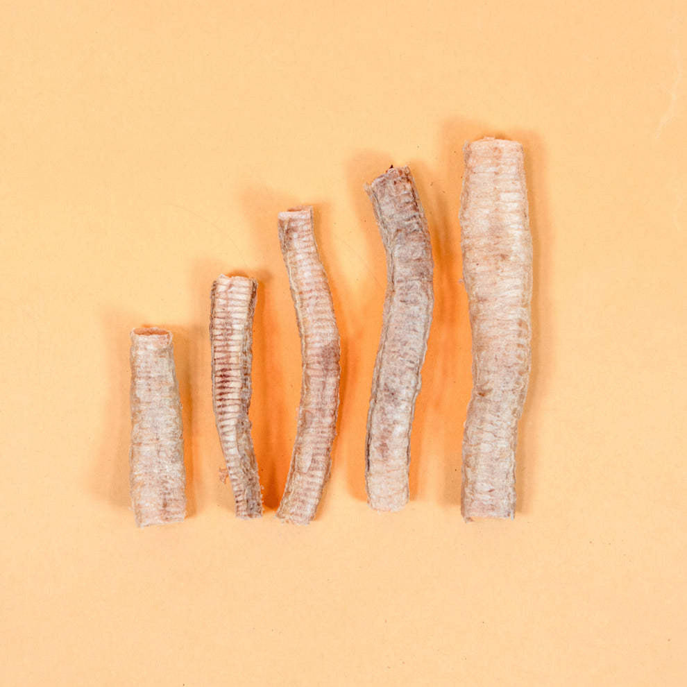 Waita Freeze Dried Goose Trachea 25g