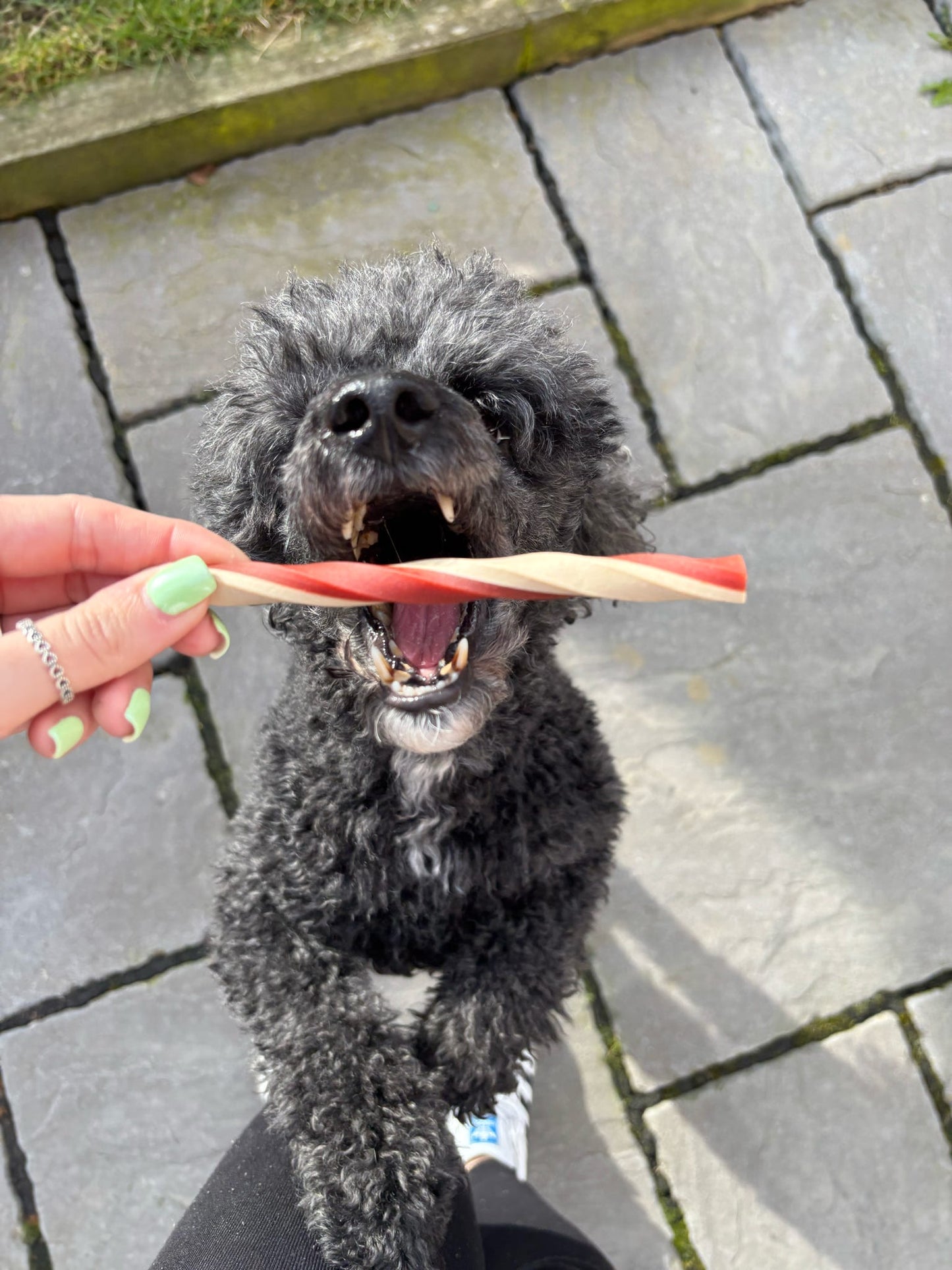 Veggie Cheese & Tomato Straw
