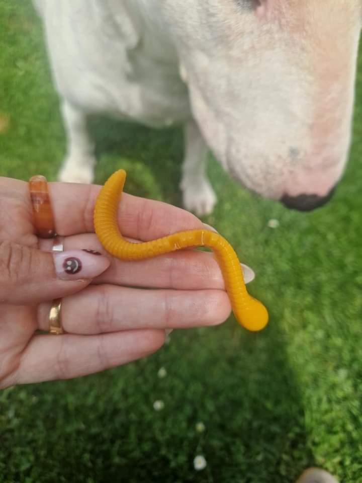 Gummy Worms